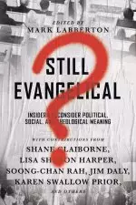 Still Evangelical?: Insiders Reconsider Political, Social, and Theological Meaning