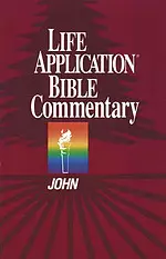 John : Life Application Bible Commentary 