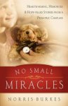 No Small Miracles: Heartwarming, Humorous, and Hopefilled Stories from a Pediatric Chaplain