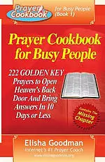 Prayer Cookbook for Busy People (Book 1): 222 Golden Key Prayers