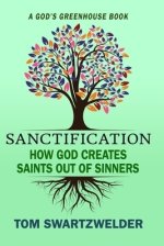 Sanctification: How God Creates Saints out of Sinners