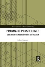 Pragmatic Perspectives: Constructivism beyond Truth and Realism