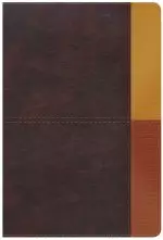 RVR 1960 Biblia de Estudio Arcoiris, cocoa/ terracota símil piel con índice