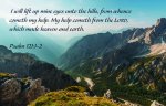 Inspirational Postcard: I Will Lift Up (Package of 25): Psalm 121:1-2 (Kjv)