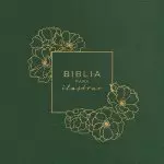 RVR 1960 Biblia para ilustrar, verde símil piel