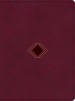 CSB Day-by-Day Chronological Bible, Burgundy LeatherTouch