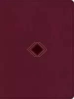 CSB Day-by-Day Chronological Bible, Burgundy LeatherTouch