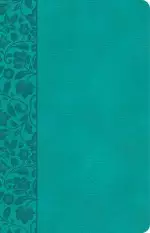 CSB Large Print Personal Size Reference Bible, Teal LeatherTouch