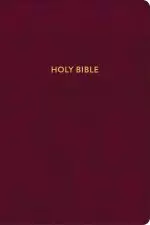 KJV Rainbow Study Bible, Burgundy LeatherTouch