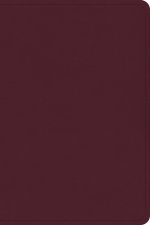 CSB Large Print Compact Reference Bible, Cranberry Leathertouch