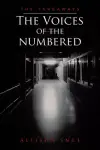 The Voices of the Numbered: The Takeaways