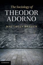 The Sociology of Theodor Adorno