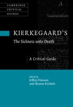 Kierkegaard's the Sickness Unto Death: A Critical Guide