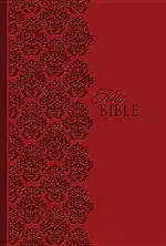 King James Study Bible Personal Size  Lt