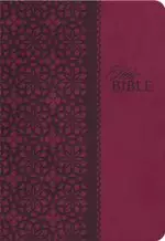 Kjv Study Bible 2nd Ed Lthlk Maroon