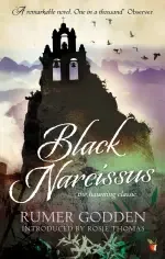 Black Narcissus