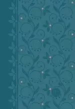 The Passion Translation New Testament (2020 Edition) Compact Teal: With Psalms, Proverbs and Song of Songs