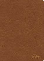 KJV Spurgeon Study Bible, Tan LeatherTouch