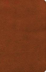 NASB Large Print Thinline Bible, Burnt Sienna LeatherTouch