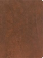 CSB Men's Daily Bible, Brown Genuine Leather, Indexed