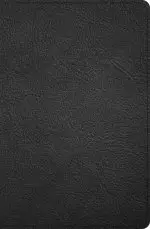 KJV Personal Size Giant Print Bible, Black Genuine Leather, Indexed