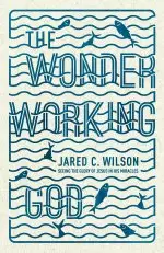 The Wonder-Working God