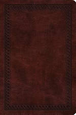 ESV Value Compact Bible (TruTone, Mahogany, Border Design)