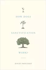 How Does Sanctification Work?