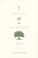 How Does Sanctification Work?