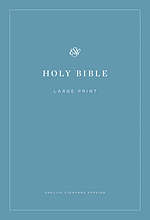 ESV Economy Bible Large Print