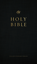 ESV Church Bible (Hardcover, Black)