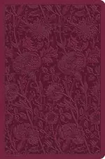 ESV Value Compact Bible (TruTone, Raspberry, Floral Design)