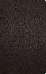 ESV Thinline Bible, Red Letter (Buffalo Leather, Deep Brown)