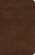 ESV Concise Study Bible, Brown, Imitation Leather, Glossary, Study Notes, Maps, Charts, Illustrations, Articles, Book Introductions