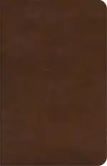 ESV Concise Study Bible, Brown, Imitation Leather, Glossary, Study Notes, Maps, Charts, Illustrations, Articles, Book Introductions