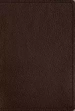 ESV Women's Study Bible (British Tan)