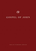 ESV Share the Good News Edition, Gospel of John, Red, Paperback, Large Print, Economy, Outreach, Book Introduction, Salvation Plan