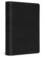 ESV Large Print Compact Bible, Red Letter (TruTone, Black)