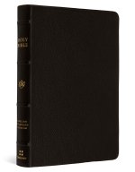 ESV Compact Bible (Buffalo Leather, Deep Brown)