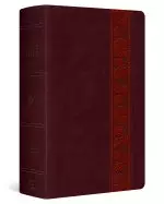 ESV Large Print Personal Size Bible (TruTone, Mahogany, Trellis Design)