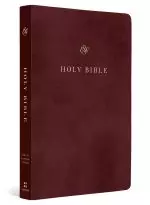 ESV Gift and Award Bible (TruTone, Burgundy)