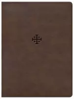 CSB Life Connections Study Bible, Brown LeatherTouch