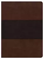 CSB Apologetics Study Bible, Mahogany Leathertouch