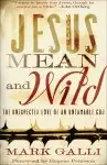 Jesus Mean and Wild [eBook]