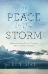 At Peace in the Storm [eBook]