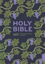 NIV Holy Bible, Purple, Paperback, Hodder Classic Design, Reading Plan, Anglicized Text, Topics Guide