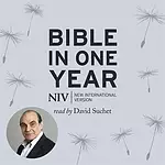 NIV Audio Bible in One Year, Grey, MP3 CD, Read by David Suchet, Digital Content