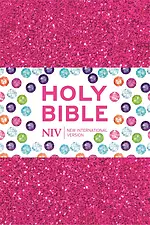 NIV Pocket Bible, Rub, Vinyl, Sparkle, Anglicised, Ribbon marker, Reading Plan, Presentation Page, Compact