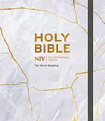 NIV Bible for Verse-Mapping