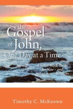 THE GOSPEL of JOHN, ONE DAY at a TIME: A Seven-Week Guide for New - and not-so-new - Believers